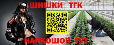 гашик Будённовск