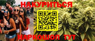 гашик Будённовск