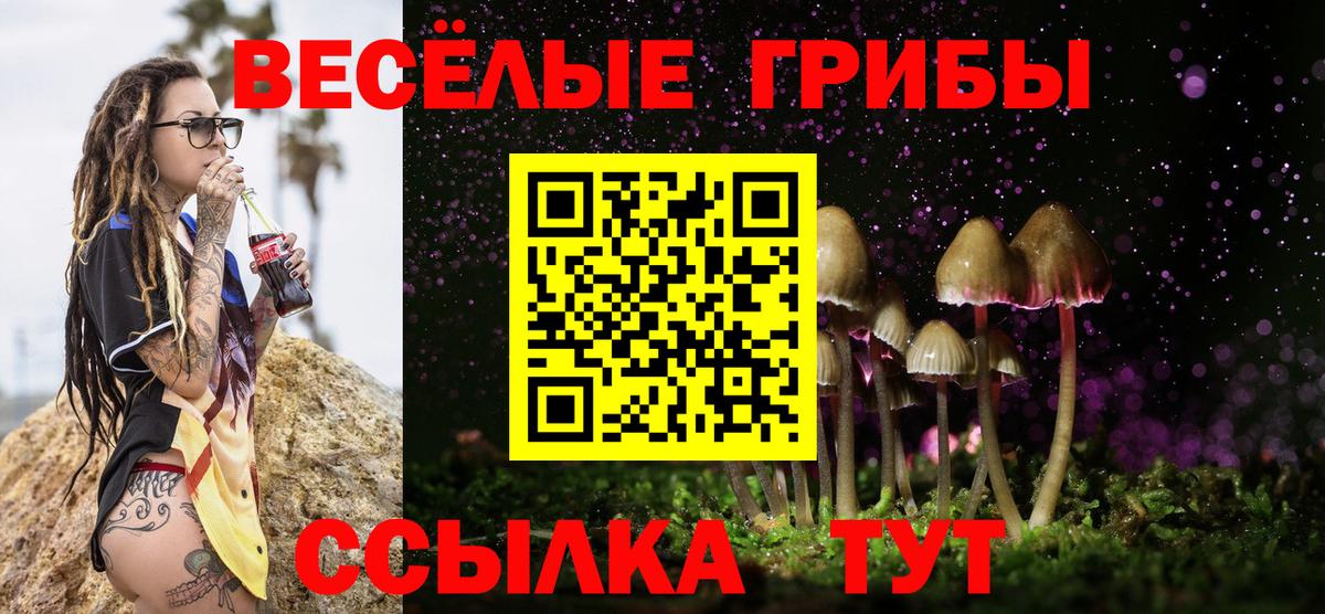ГЕРОИН Будённовск