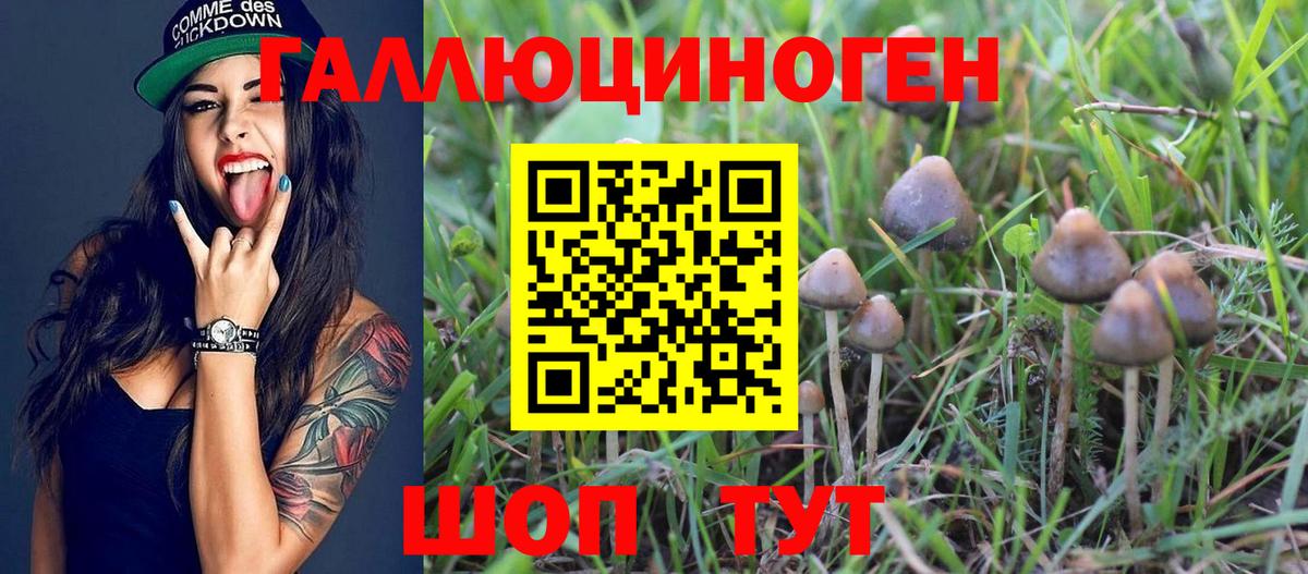 Будённовск  Галлюциногенные грибы ЛСД  хочу   Вход с VPN 