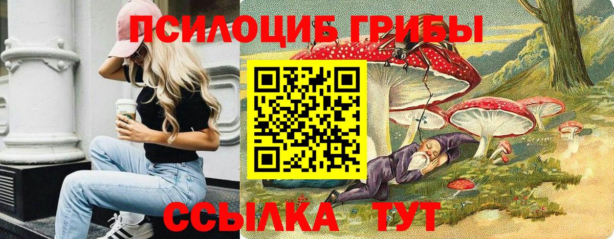 Галлюциногенные грибы Cubensis Будённовск